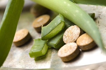 Image showing aloe vera plant with pills - herbal medicine