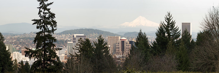 Image showing Portland Oregon Downtown Cityscape Day
