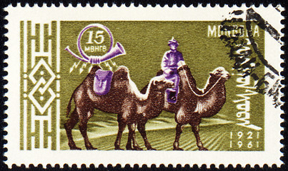 Image showing Cameleer with two camels on post stamp