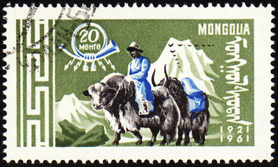 Image showing Post stamp with man in national Mongolian costume on yak