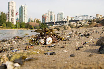 Image showing Low Tide at Vanier Park Beach in Vancouver BC