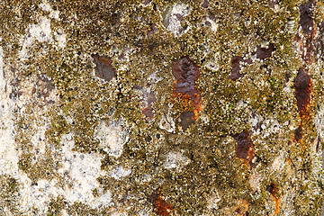 Image showing Barnacles on Rusty Shipwreck