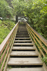 Image showing Wooden Stairs at Hiking Trail Vertical