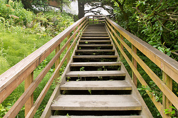 Image showing Wooden Stairs at Hiking Trail