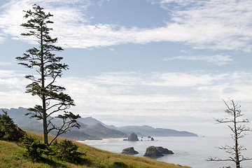 Image showing Cannon Beach at Ecola State Park