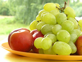 Image showing fresh fruits