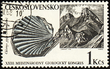 Image showing Mountains and mollusc fossil on post stamp