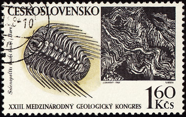 Image showing Mountains and fossil on post stamp