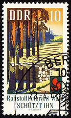 Image showing Post stamp devoted to forest protection