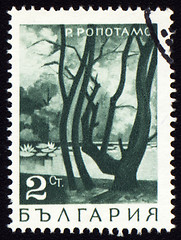 Image showing Ropotamo river on post stamp