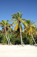 Image showing tropical beach