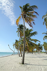 Image showing tropical beach