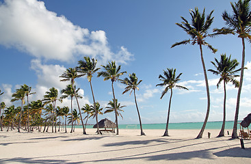 Image showing large beach