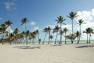 Image showing large beach