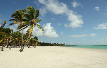 Image showing large beach