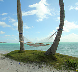 Image showing beach hammock