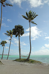 Image showing beach hammock