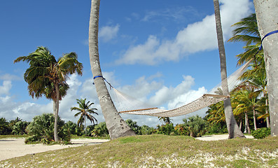 Image showing  hammock on the beach