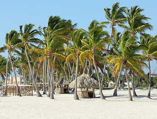 Image showing caribbean resort