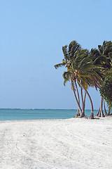 Image showing large beach