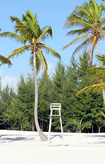 Image showing lifeguard chair 