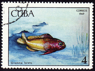 Image showing Fish Gramma loreto on post stamp