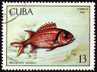 Image showing Fish Myripristis jacobus on post stamp