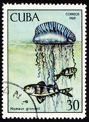 Image showing Fish Nomeus gronovii on post stamp