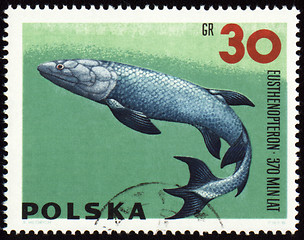 Image showing Prehistoric fish Eusthenopteron on post stamp