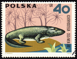 Image showing Dinosaur Ichthyostega on post stamp