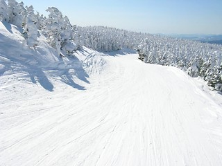 Image showing sunny ski trail