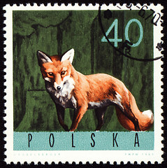 Image showing Red fox on post stamp