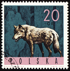 Image showing Wolf on post stamp