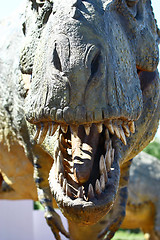 Image showing Dinosaur Tyrannosaurus Rex Head