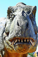 Image showing Dinosaur Tyrannosaurus Rex Head