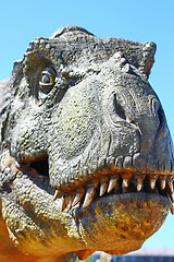 Image showing Dinosaur Tyrannosaurus Rex Head