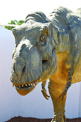 Image showing Dinosaur Tyrannosaurus Rex