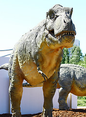 Image showing Dinosaur Tyrannosaurus Rex Head