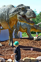 Image showing Dinosaur Tyrannosaurus Rex Head