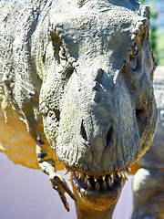 Image showing Dinosaur Tyrannosaurus Rex Head