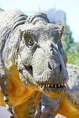 Image showing Dinosaur Tyrannosaurus Rex Head