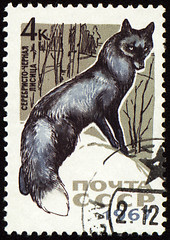 Image showing Black fox on post stamp