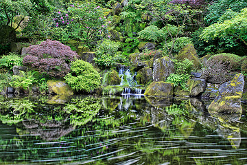 Image showing Waterfall at Portland Japanese Garden