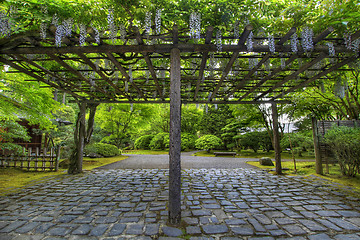 Image showing Wisteria in Bloom at Portland Japanese Garden Path