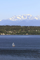 Image showing Sailing on Puget Sound with Olympic Peninsula View