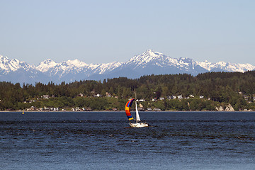 Image showing Colorful Sailboat on Puget Sound Olympic Peninsula