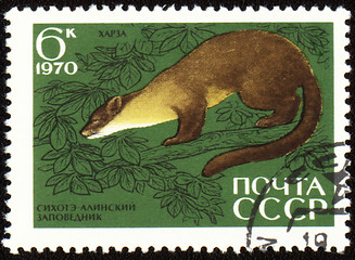 Image showing Pine marten on post stamp