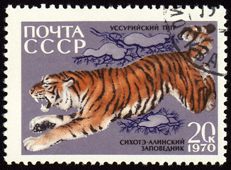 Image showing Jumping tiger on post stamp