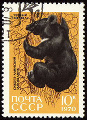 Image showing Black bear on post stamp