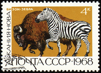 Image showing Zebra and bison on post stamp